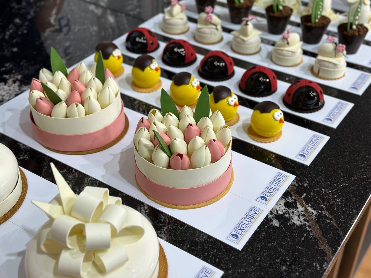 photo 5366292862049840148 y