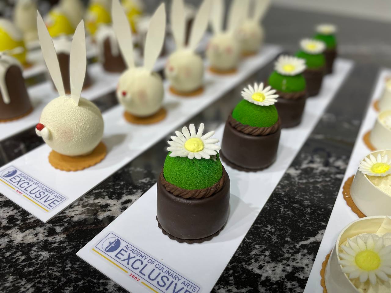 4e949968 050f 4833 9ce8 f7c435f8fb24