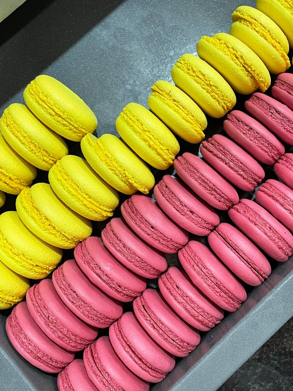 photo 5257961047975464940 y