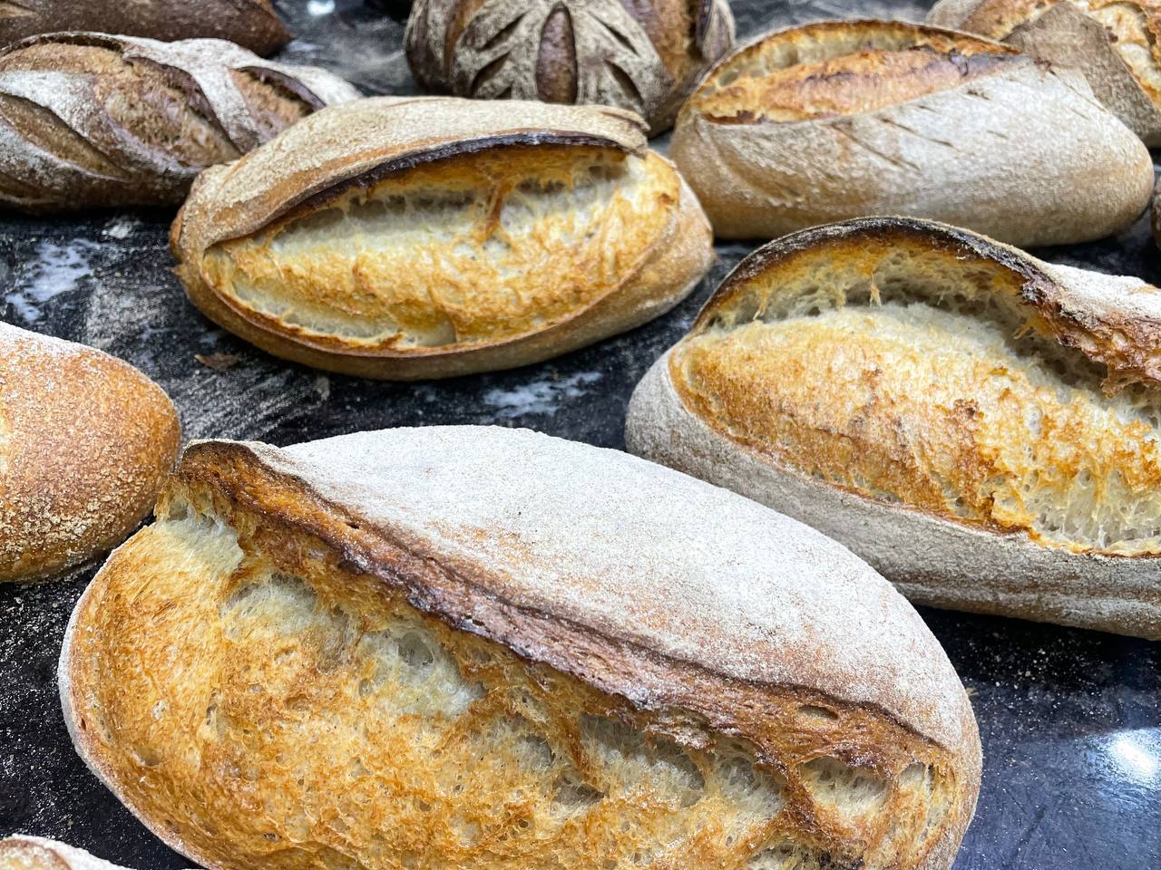 photo 5418022032282160674 y