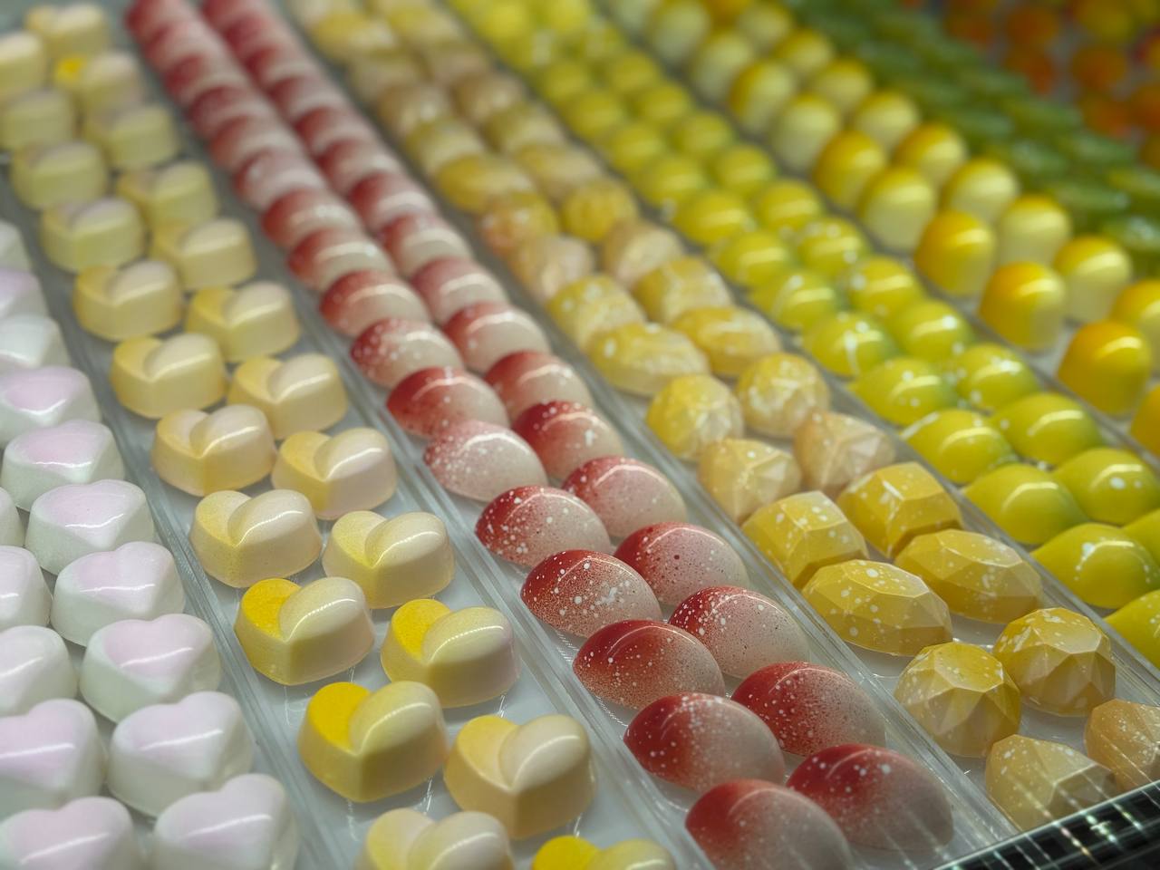 photo 5458828185845236641 y