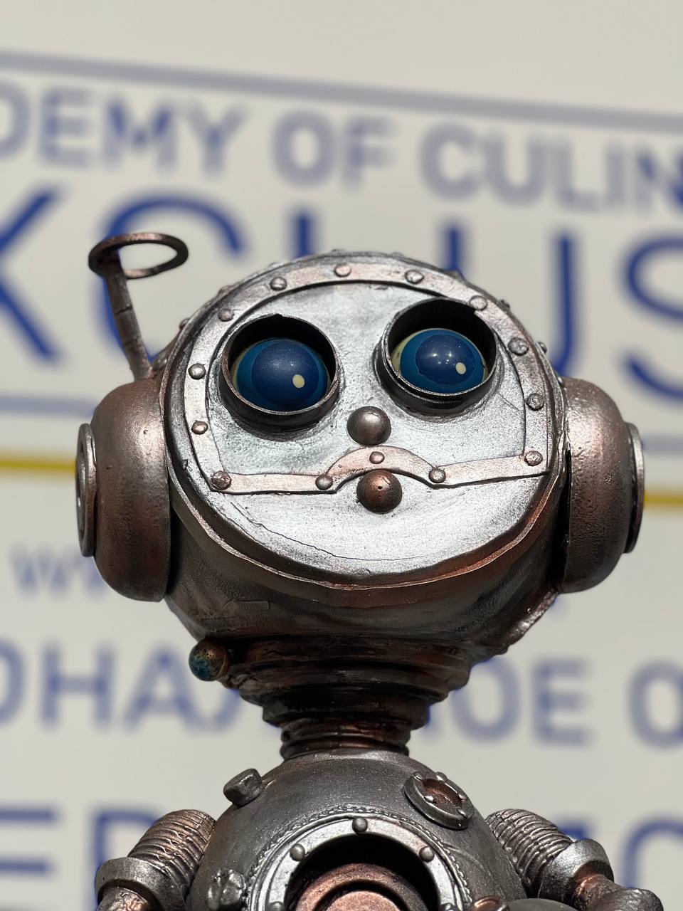 photo 5222102963021617019 y