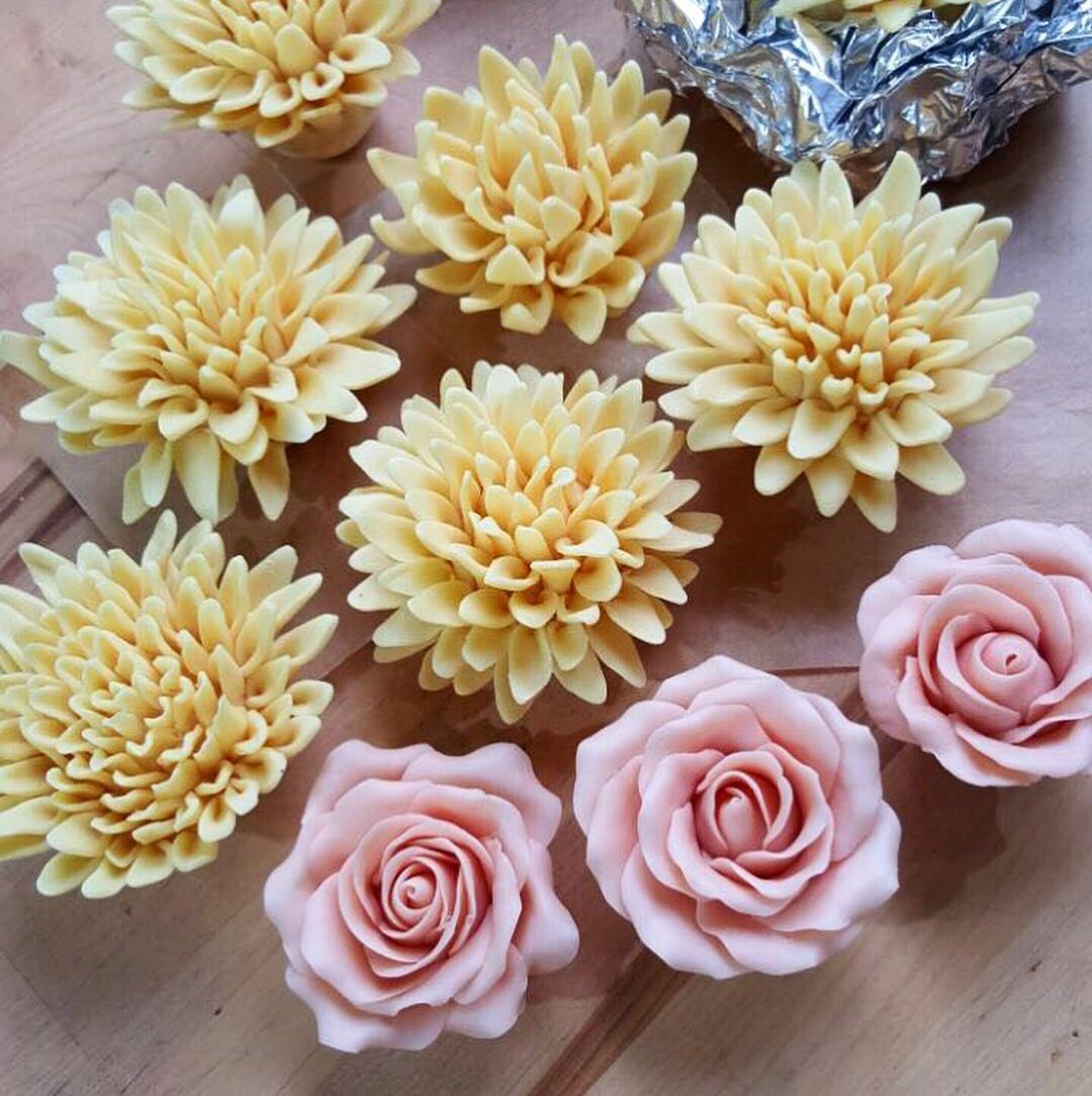 WhatsApp Image 2017 11 03 at 15.19.55