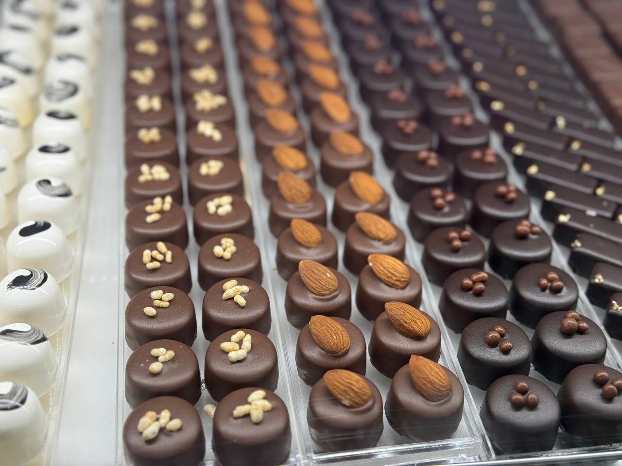 photo 5458828185845236640 y