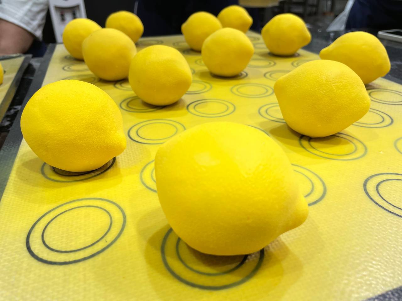 photo 5353017384429620999 y