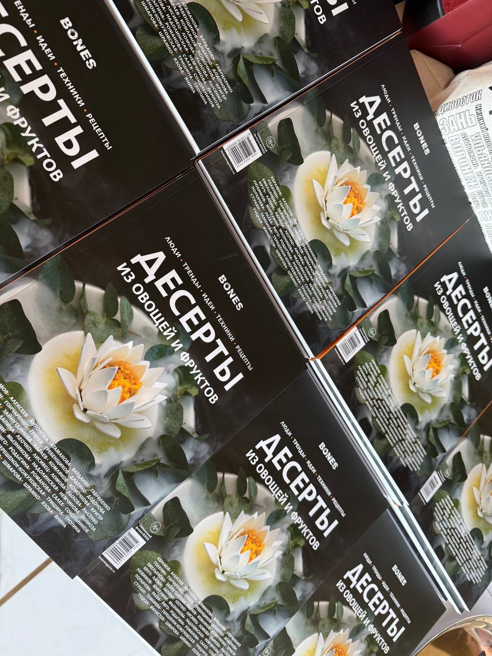 photo 2026 03 31 12 16 47 photo 2026 03 31 12 16 47