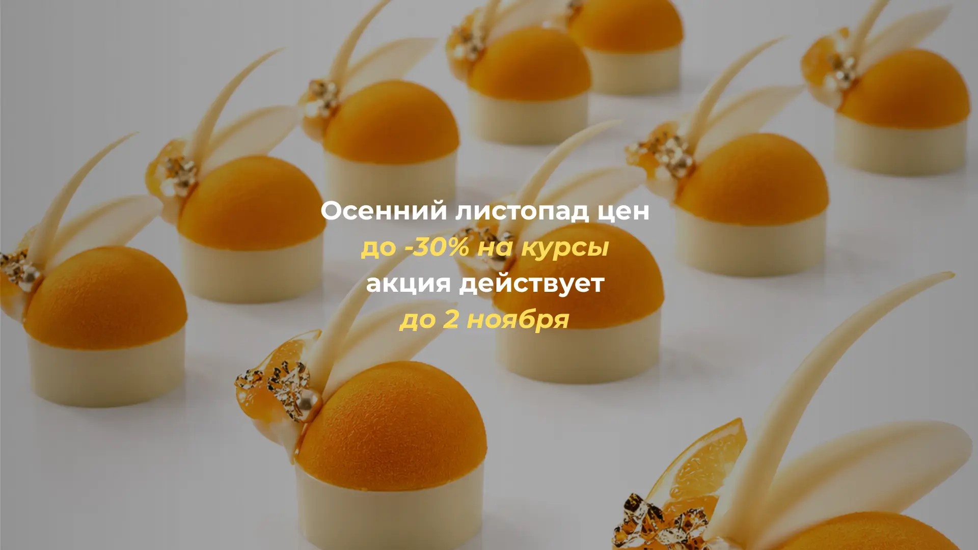 c762f2e1 d5bf 4dd9 92c4 1d151ae3247c